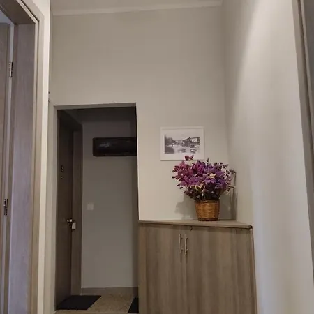 δ1 - τα του δασκάλου στα פיליאטרה